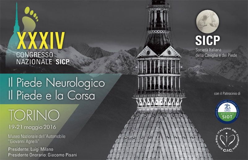 2016 SICP Congress - Nicola Portinaro